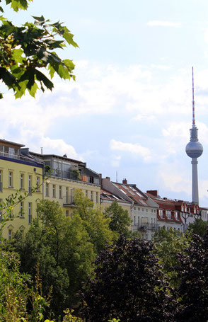 Blick von oben von der grünen Hochfläche am Wasserturm auf Häuserfronten Kollwitz-Kiez und Fernsehturm. Foto: Helga Karl