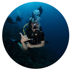 Happy diver Curacao