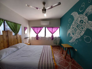 Hostels backpackers and Bed and breakfast in La Paz Mexico