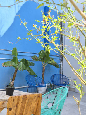 best bed & breakfast in La Paz Mexico