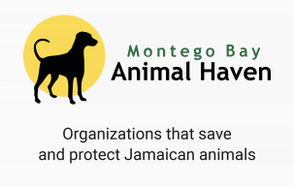 Montego Bay Animal Haven Logo - Organization that save and protect Jamaican animals