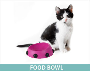 UNITED PETS [正規代理店品] キャットボックス グリーン 猫用 2zzhgl6 楽天市場】【中古】UNITED PETS [正規代理店品] キャット
