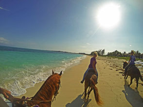 Turks et Caïcos /Providentiales /Baie de Grace (Grace bay beach) /Bahamas 