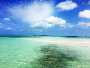 Turks et Caïcos /Providentiales /Baie de Grace (Grace bay beach) /Bahamas 