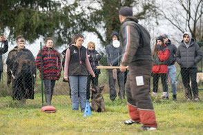 Entraineuse canine en positif Mordant sportif et Obéissance  éducation canine Pour une relation de folie avec son chien et une autre image des sports canins