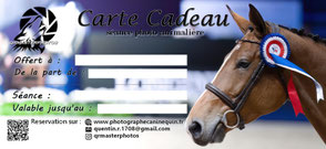 carte cadeau seance photo chien photographe canin lyon idee cadeaux noel