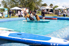 Paddle canin toulouse photographe canin