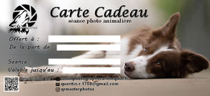 carte cadeau seance photo chien photographe canin lyon idee cadeaux noel