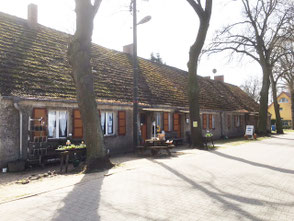 Langes Haus Altfriedland Kräuterwanderungen