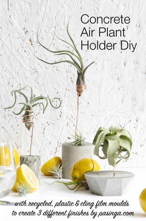 DIY Concrete Air Plant Holder Tutorial By PASiNGA