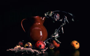 Photo of brown pitcher with dry leaves and fruit for Still-life Flowers and Fruits Project