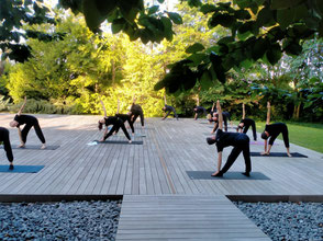 preparazione fisica hata yoga video yoga asana pesi