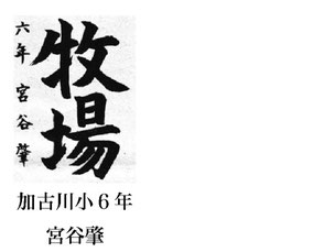 毎日小学生新聞 書写