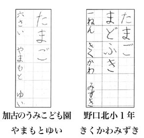 毎日小学生新聞 書写