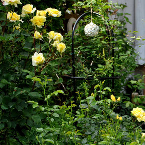 Garten-Galerie