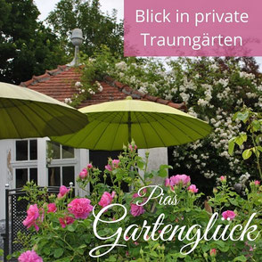 Gartendeko-Blog