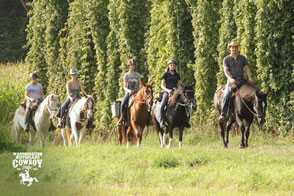 Wanderreiten Hopfenland Cowboy