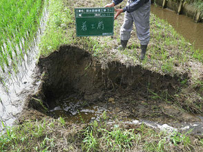 豪雨により、田んぼの畔が壊れた現場写真