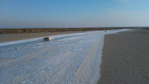 Baie de Somme Hiver