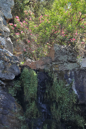 Man Kasta Watervallen Lesbos
