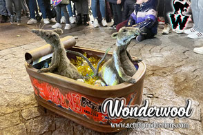 Espectacles de carrer originals