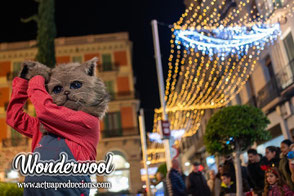 Spectacle de rue marché de Noël