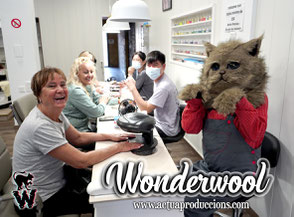 Wonderwool