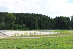 Pferdepension Tüfi Sandplatz