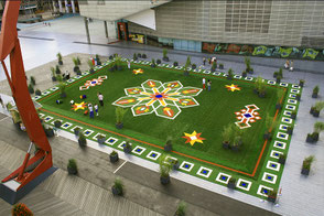 THE FLYING GRASS CARPET