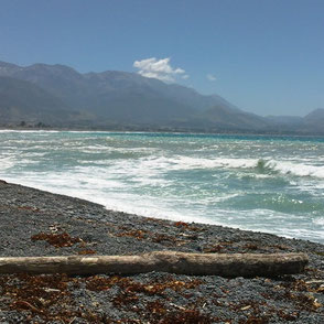 Strand von Kaikoura