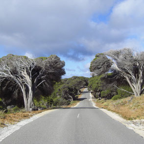 Western Australia