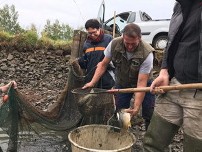 Familie Bächer beim Abfischen