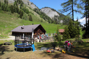 Niggeltalalm in Großarl