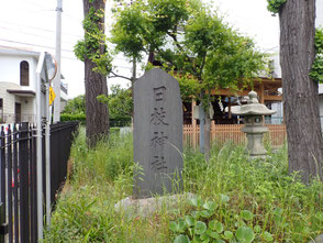 日枝神社　荒川区　散歩　菜ちゃんのページ