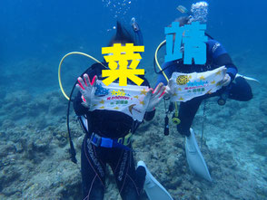 石垣島旅行記　石垣島ダイビング旅行記　石垣島　石垣島ダイビング　ダイビング　石垣島グルメ　石垣島ホテル　菜ちゃんのページ　ダイビング旅行記