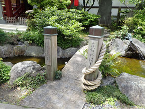 すさのお神社　荒川区　散歩　菜ちゃんのページ