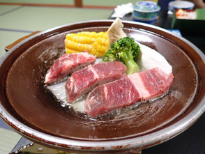 平家平温泉 こまゆみの里 食事 菜ちゃんのページ