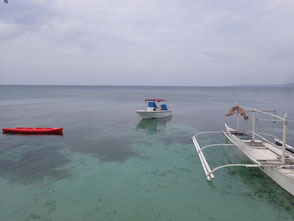 フィリピン　シキホール島　ダイビング　菜ちゃんのページ