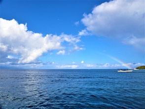 石垣島旅行記　石垣島ダイビング旅行記　石垣島　石垣島ダイビング　ダイビング　石垣島グルメ　石垣島ホテル　菜ちゃんのページ　ダイビング旅行記