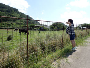 石垣島旅行記　石垣島ダイビング旅行記　石垣島　石垣島ダイビング　ダイビング　石垣島グルメ　石垣島ホテル　菜ちゃんのページ　ダイビング旅行記