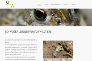 Expertin für Amphibien, Esther Schweizer, Umweltingenieurin