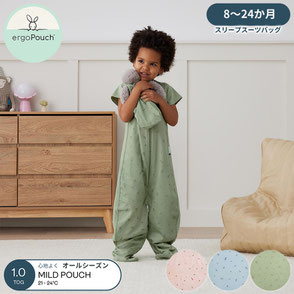 スリープスーツバッグ  オールシーズン用