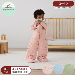 スリープスーツバッグ  冬