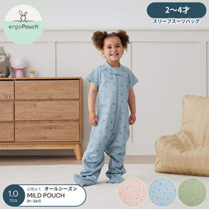 スリープスーツバッグ  オールシーズン用