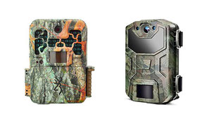 Trail Cameras , must-have for every wildlife photographer 