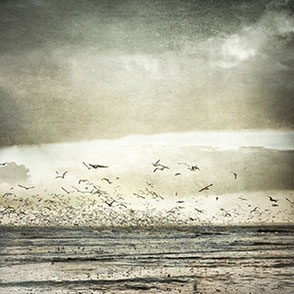 Image rollover