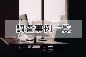 探偵　証拠　調査実績
