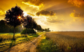 www.ronaldosephius.nl ondergaande zon mist op water sloot ingesleten pad  Bewust Groeien vanuit innerlijke kracht