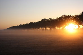 www.ronaldosephius.nl ondergaande zon mist weiland bomenrij Bewust groeien vanuit innerlijke kracht