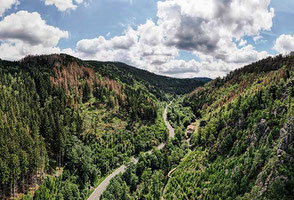Wald im Harz von oben mit Straße im Sommer 2026